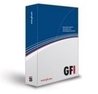 GFI LANguard, 25-49 IP, 1 Year (LANSS25-49-1Y)